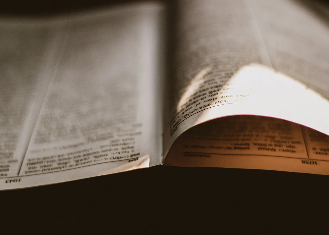 Sunlight falling across the printed pages of an open reference book.