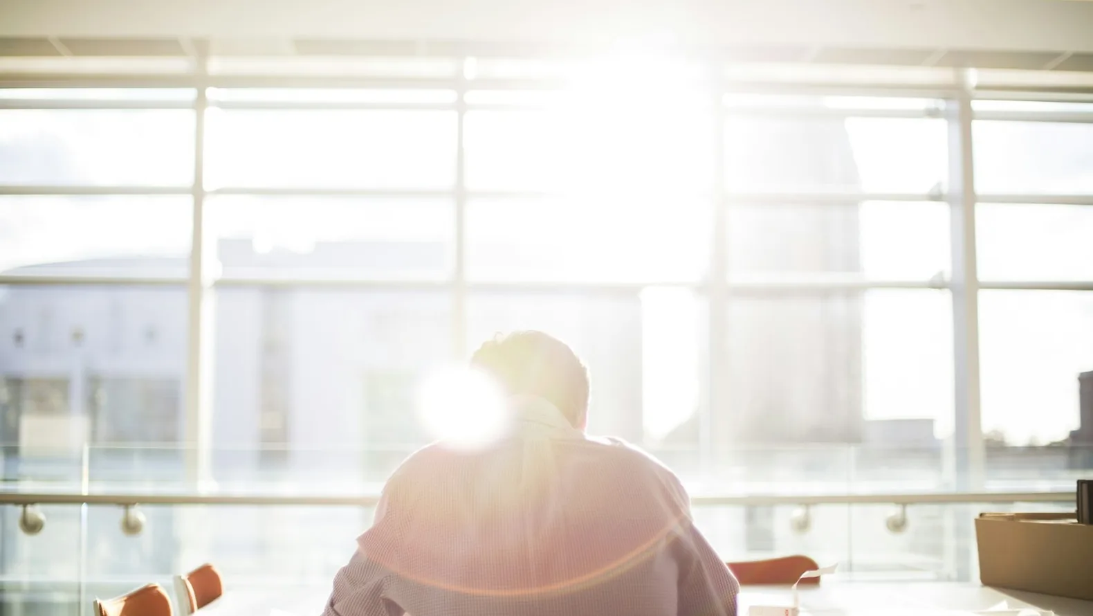 A person working quietly beside a sunlit window.